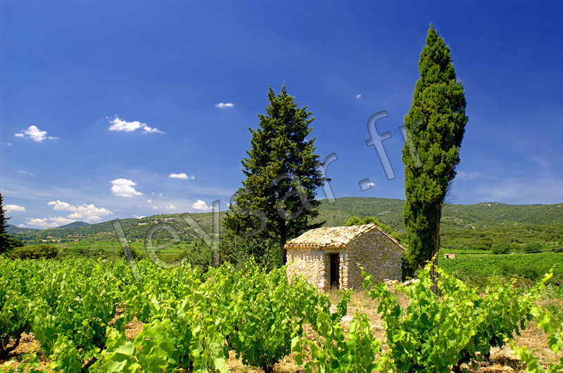 Cabanon